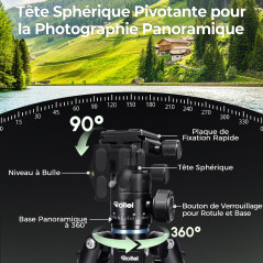 Rollei Compact Traveler Mini M1, Mini Trepied Apparei Photo en Aluminium 49cm Trépied de Voyage Léger Petit Trépied de Table ave