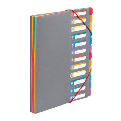 Viquel - Trieur Document A4 avec 12 Compartiments - Organisateur de bureau extensible - Porte document A4 avec index - Fermeture