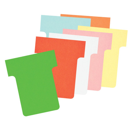 Nobo - Mini Planning à Fiches T, Portable, 17 Colonnes & 16 Fentes, Indice 1.5, Fiches T Multicolores Incluses, 3084200