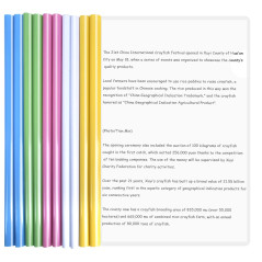 10 Feuilles Dossier Coulissante Transparent, Chemise de Couvertures de Rapports avec Barre Coulissante, A4 Reliure Dossier, Rapp