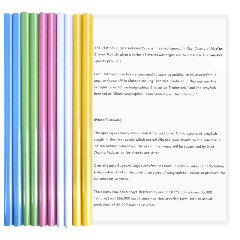 10 Feuilles Dossier Coulissante Transparent, Chemise de Couvertures de Rapports avec Barre Coulissante, A4 Reliure Dossier, Rapp