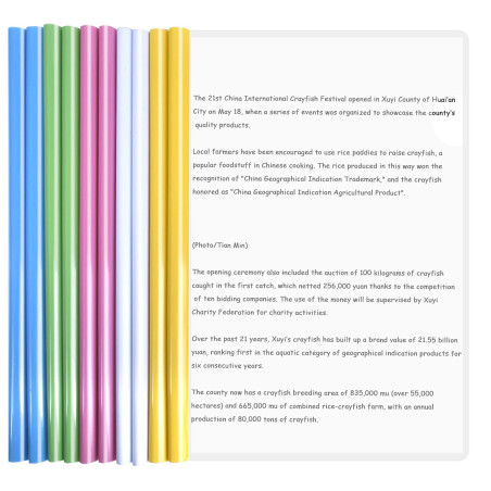 10 Feuilles Dossier Coulissante Transparent, Chemise de Couvertures de Rapports avec Barre Coulissante, A4 Reliure Dossier, Rapp