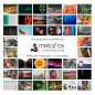 Coffret Original de cartes postales de motivation metaFox- un jeu de 52 cartes postales pour le coaching et la thérapie Coffret Original de cartes postales de motivation metaFox- un jeu de 52 cartes postales pour le coaching et la thérapie
