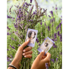 instax Instant Mini Film Pack de 10 Shot Lavande Douce
