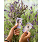 instax Instant Mini Film Pack de 10 Shot Lavande Douce instax Instant Mini Film Pack de 10 Shot Lavande Douce