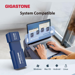 Gigastone Z80 Clé USB 3.2 Gen2 512 Go, R/W 1000/800 Mo/s HPC Calcul Haute Performance, Rétractable sans Capuchon Conception, Com
