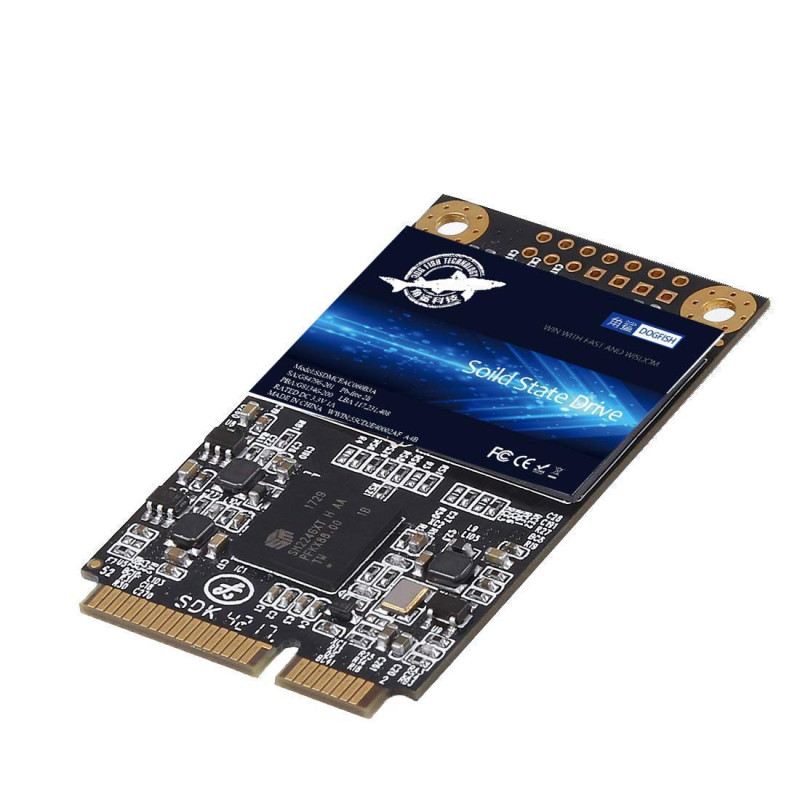 SSD mSATA 1To Dogfish à l'intérieur De l'actionneur à Solide Carnet De Haute Performance De Lecteur De Disque (1To, MSATA) SSD mSATA 1To Dogfish à l'intérieur De l'actionneur à Solide Carnet De Haute Performance De Lecteur De Disque (1To, MSATA)
