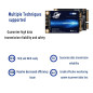 SSD mSATA 1To Dogfish à l'intérieur De l'actionneur à Solide Carnet De Haute Performance De Lecteur De Disque (1To, MSATA) SSD mSATA 1To Dogfish à l'intérieur De l'actionneur à Solide Carnet De Haute Performance De Lecteur De Disque (1To, MSATA)