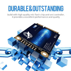 SSD mSATA 1To Dogfish à l'intérieur De l'actionneur à Solide Carnet De Haute Performance De Lecteur De Disque (1To, MSATA)