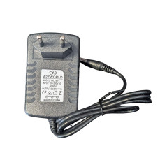 LEDLUX CV7243 Transformateur Alimentation 24W 24V 1A avec Prise Domestique de 220 V à DC 24 V Noir (24W 24V 1A)