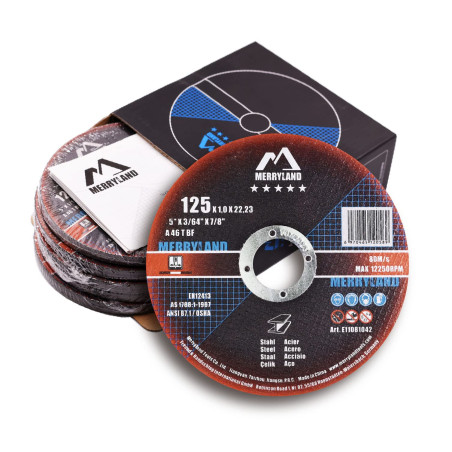 Merryland Disque à Tronçonner 125 Métal Acier Fer, 125 X 1,0 mm Disque de Coupe 25 Pièces, Disque Découper pour Meuleuse d'Angle