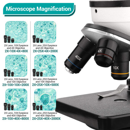 40X-2000X Microscope pour Enfants Adultes, Microscope Professionnel étudiant à Double éclairage LED avec Kits scientifiques, pou