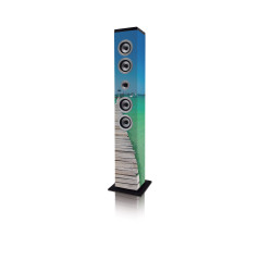 Ices IBT-6 40W Multi Haut-Parleur - Hauts-parleurs (avec Fil &sans Fil, 40 W, Multi)