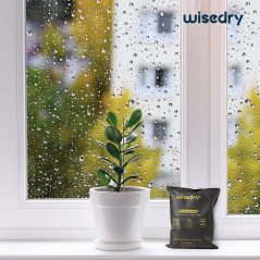 wisedry Lot de 2 sachets de gel de silice réutilisables pour déshumidificateur de voiture, 1 kg [2 x 500 grammes] Sachets déshyd
