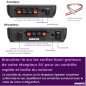 Marmitek Transmetteur Audio sans Fil Speaker Anywhere 650 - Rendez Vos Haut-parleurs arrière - sans Retard ni Perte de qualité D Marmitek Transmetteur Audio sans Fil Speaker Anywhere 650 - Rendez Vos Haut-parleurs arrière - sans Retard ni Perte de qualité D