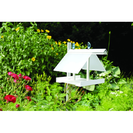 Alberts 471729 Profilé plein plat | aluminium, anodisé, couleur argent | 1000 x 50 x 3 mm