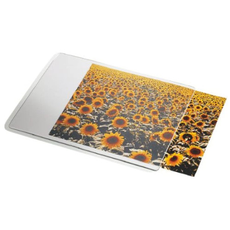 Esselte Tapis de Souris Personnalisable, 19 x 24 cm, Blanc/Transparent, 67691