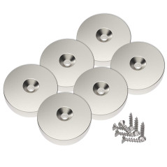 6 pièces Magnetpro Aimants en néodyme 25 x 4.5 mm, Trou fraisé, Force de 10 kg avec 6 vis