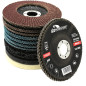 11 disques à lamelles et polissage - Diamètre : 115 mm - Disques à lamelles 4 x bleus (inox) 4 x marron (standard) grain 40/60/8 11 disques à lamelles et polissage - Diamètre : 115 mm - Disques à lamelles 4 x bleus (inox) 4 x marron (standard) grain 40/60/8