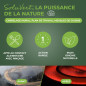 STARWAX SOLUVERT - Dégraissant Express - Spécial Cuisine - Dissout et Élimine les Graisses Même Cuites - 99,8% d’Ingrédients d’O STARWAX SOLUVERT - Dégraissant Express - Spécial Cuisine - Dissout et Élimine les Graisses Même Cuites - 99,8% d’Ingrédients d’O