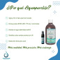 Aquapurelife - DMSO 70% avec compte-gouttes | Diméthylsulfoxyde 500 ml, qualité pharmaceutique | Solvant organique incolore | Fl Aquapurelife - DMSO 70% avec compte-gouttes | Diméthylsulfoxyde 500 ml, qualité pharmaceutique | Solvant organique incolore | Fl