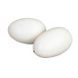 Kerbl Œufs en Bois/Coque pour Oiseau 2 Pièces, Unique Kerbl Œufs en Bois/Coque pour Oiseau 2 Pièces, Unique