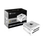 Thermaltake Toughpower GF3 1200W | Alimentation PC-ATX 3.0 | PCIe Gen 5.0 | 80-Plus-Gold | entièrement modulaire | Ventilateur S Thermaltake Toughpower GF3 1200W | Alimentation PC-ATX 3.0 | PCIe Gen 5.0 | 80-Plus-Gold | entièrement modulaire | Ventilateur S