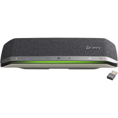 Auricolari HP 77P36AA Nero Nero/Grigio