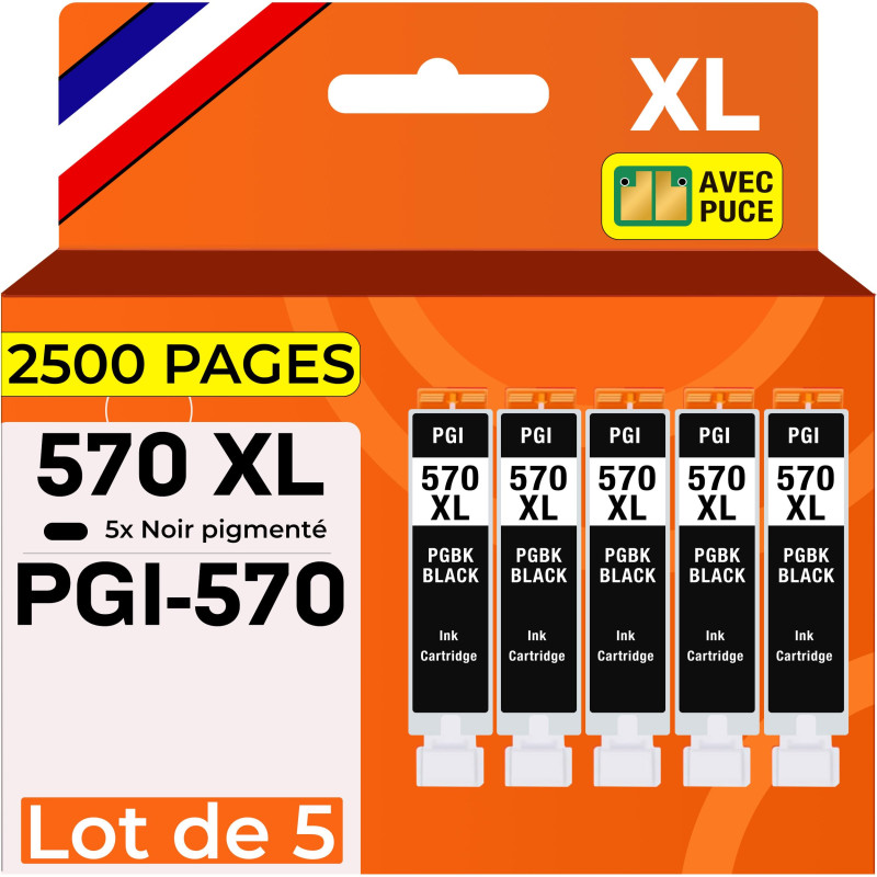Supply Guy 5 Cartouches d'encre avec Puce Compatible avec Canon PGI-570 PGBK Noir Grande pour Pixma MG5750 MG5751 MG6850 MG7750 