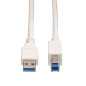 Value Câble USB 3.2 Gen 1, type A-B, blanc, 3 m
