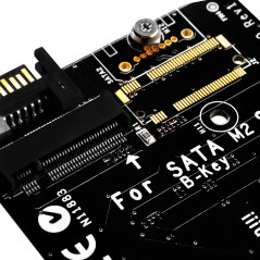 Silverstone ECM20 carte et adaptateur d'interfaces Interne PCIe, SATA