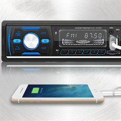 Retoo Autoradio Bluetooth 5.1, Lecture de fichiers MP3, écran 2,4", 6 Couleurs de rétroéclairage, Heure Visible à l'écran, Entré