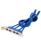 DeLOCK 82974 Bleu