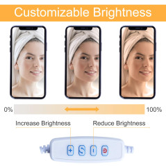 AGM Selfie Ring Light avec Col de Cygne 24", 3 Modes d'Eclairage, Support de Téléphone Portable, Lumière Dimmable pour Maquillag