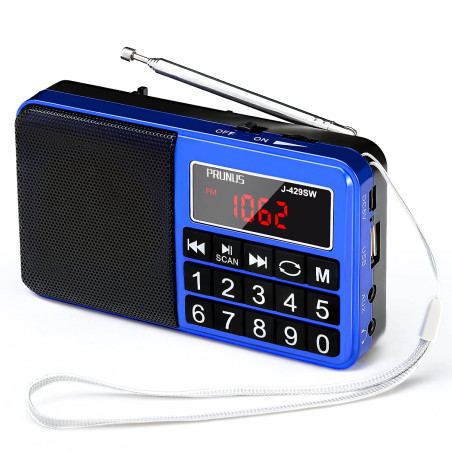 PRUNUS J-429 Petite Radio Portable Rechargeable avec Haut-parleur FM/AM(MW)/SW/USB/Micro-SD/MP3. Mini Radio fm portable avec Gro
