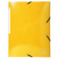 Exacompta - Réf. 55828E - Carton de 25 chemises à élastiques Iderama - pochettes 3 rabats Maxi Capacity - en carte lustrée pelli Exacompta - Réf. 55828E - Carton de 25 chemises à élastiques Iderama - pochettes 3 rabats Maxi Capacity - en carte lustrée pelli