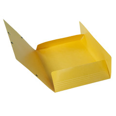 Exacompta - Réf. 55828E - Carton de 25 chemises à élastiques Iderama - pochettes 3 rabats Maxi Capacity - en carte lustrée pelli