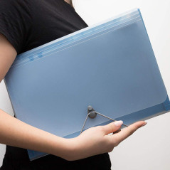 D.RECT, 5540, Pochette Trieur, Trieur Document, Scolaire, Alphabétique, Extensible Pochettes pour Documents, Trieur 12 Compartim