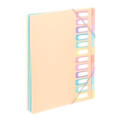 Viquel - Trieur Document A4 avec 12 Compartiments - Organisateur de bureau extensible - Porte document A4 avec index - Fermeture
