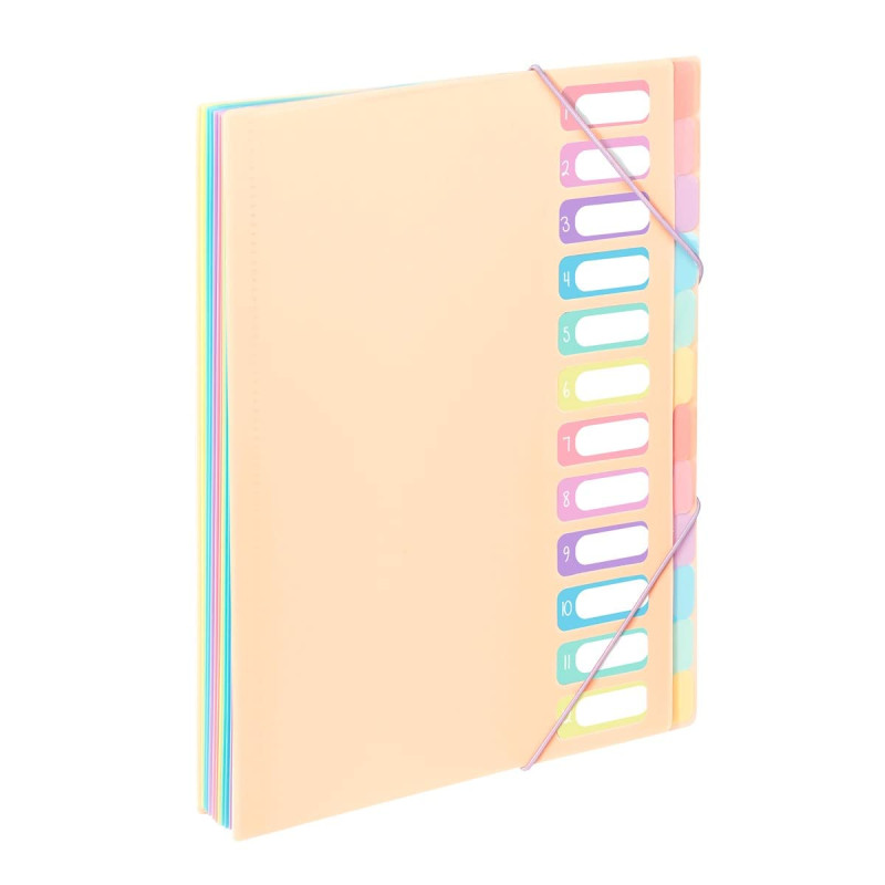 Viquel - Trieur Document A4 avec 12 Compartiments - Organisateur de bureau extensible - Porte document A4 avec index - Fermeture Viquel - Trieur Document A4 avec 12 Compartiments - Organisateur de bureau extensible - Porte document A4 avec index - Fermeture