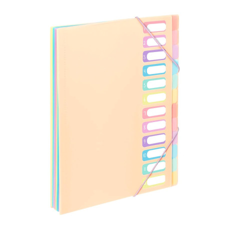 Viquel - Trieur Document A4 avec 12 Compartiments - Organisateur de bureau extensible - Porte document A4 avec index - Fermeture