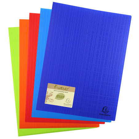 Exacompta - Réf. 883570E - 1 Protège-documents Forever - 30 pochettes cristal lisse - 60 vues - pour A4 - dim 24 x 32 cm - couve