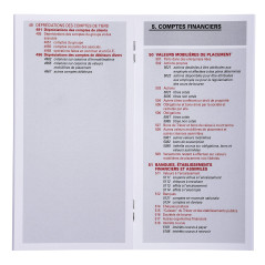 Exacompta - Réf. 14001E - 1 Plan comptable général - couverture plastique - format 17,5x9cm - autorisé aux concours et aux exame