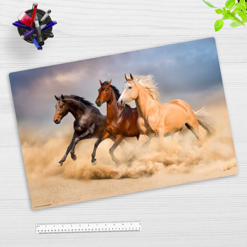 Sous-main lavable - Trois chevaux - En vinyle de qualité supérieure - Différentes tailles - Fabriqué en Allemagne - 60 x 40 cm Sous-main lavable - Trois chevaux - En vinyle de qualité supérieure - Différentes tailles - Fabriqué en Allemagne - 60 x 40 cm