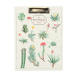 Grupo Erik - Porte Bloc A4 avec Pince Botanical - Support Feuille 21 x 29,7 cm, Classeur à Pince avec Rabat et Bloc-Notes Ligné, Grupo Erik - Porte Bloc A4 avec Pince Botanical - Support Feuille 21 x 29,7 cm, Classeur à Pince avec Rabat et Bloc-Notes Ligné,