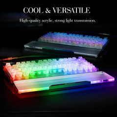 MAMBASNAKE Repose-poignet pour TKL 87 Keys Clavier, Wrist Rest, Premier Acrylique Transparent, Pieds Antidérapants, Ergonomique 