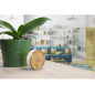 Carillon supplémentaire Bamboo Compatible avec Le Carillon Avidsen Bamboo 102498 Quand on a Deux espaces a Couvrir Carillon supplémentaire Bamboo Compatible avec Le Carillon Avidsen Bamboo 102498 Quand on a Deux espaces a Couvrir