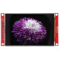 Module d'Écran LCD TFT HDMI pour Accessoires Électroniques Écran Tactile Haute Définition Module d'Écran LCD TFT HDMI pour Accessoires Électroniques Écran Tactile Haute Définition