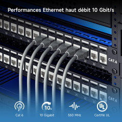 Cable Matters Ensemble de 10 Prises Keystone Cat6 RJ45 [UL Certifié] en Blanc
