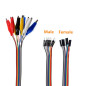 Oiyagai Lot de 2 Câbles Test Pinces Crocodile-Dupont 10 Broches 20cm, Mâle et Femelle, pour Arduino/Raspberry Pi/Orange Pi Oiyagai Lot de 2 Câbles Test Pinces Crocodile-Dupont 10 Broches 20cm, Mâle et Femelle, pour Arduino/Raspberry Pi/Orange Pi